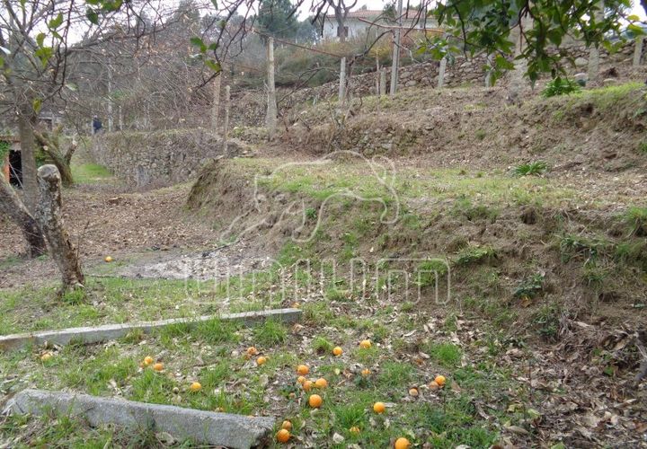 Helårsgrund i Ponte de Lima, Viana do Castelo, Ponte de Lima - € 45.000 | Ref: R4813 - foto 1