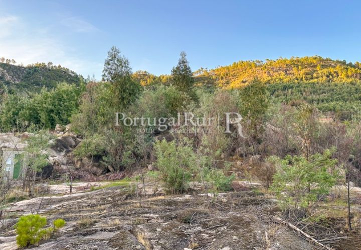 Helårsgrund i Castelo Branco, Castelo Branco, Castelo Branco - € 28.000 | Ref: 714-3 - foto 1