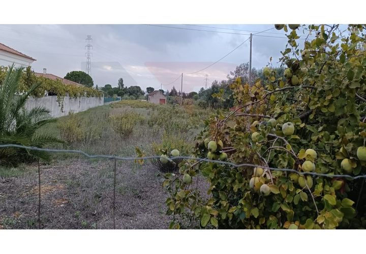 Helårsgrund i Entroncamento, Santarem, Entroncamento - € 110.000 | Ref: TER_49 - foto 1