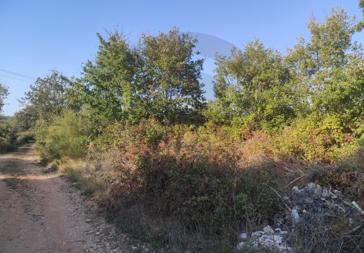 Tomt i Fatima, Santarem, Fatima - € 10 000 | Ref: C0269-01646 - foto 1