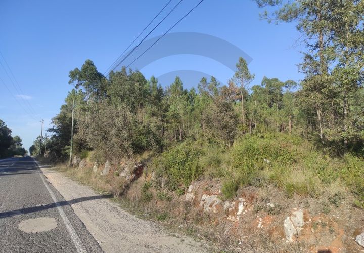 Terra a Fatima, Santarem, Fatima - € 15.000 | Ref: C0269-01647 - foto 1