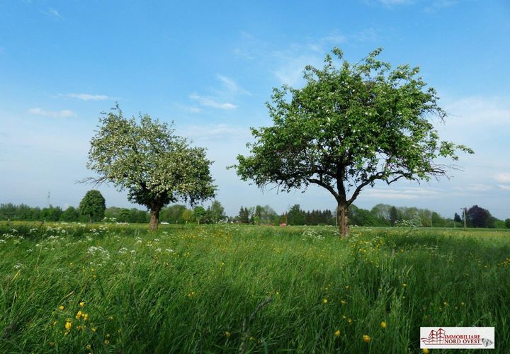 Helårsgrund i Corbetta, Milan, Corbetta - € 20.000 | Ref: terreno soriano/battuello - foto 1