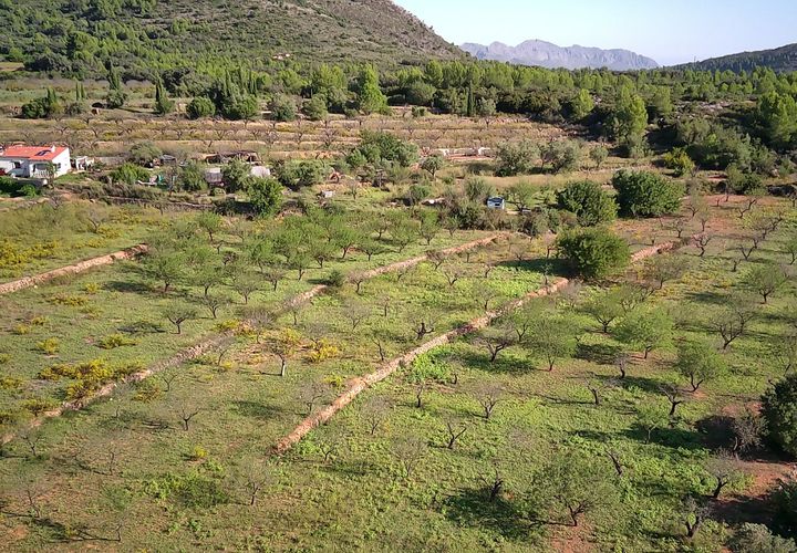 Terra a Murla, Alicante, Murla - € 100.000 | Ref: 001355 - foto 1