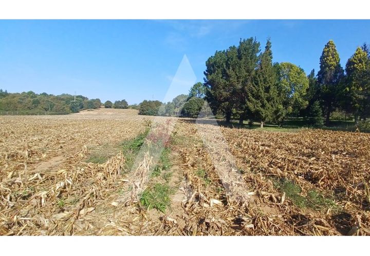 Helårsgrund i Agueda, Aveiro, Agueda - € 385.000 | Ref: 1020952/23 FR - foto 1