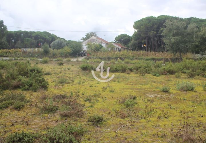 Helårsgrund i Ourem, Santarem, Ourem - € 159.900 | Ref: S4U133-V19 - foto 1