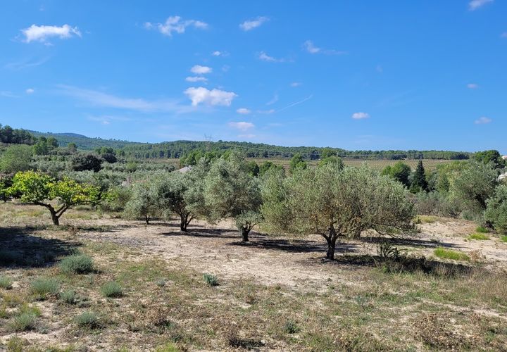 Helårsgrund i Ontinyent, Valencia, Ontinyent - € 35.000 | Ref: LOSDH3422 - foto 1
