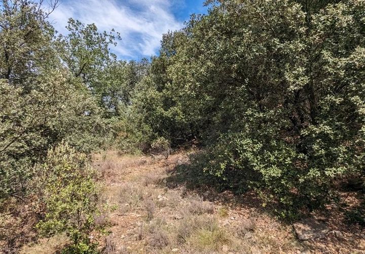 Terra a Carcès, Var, Carcès - € 35.400 | Ref: 34443281 - foto 1