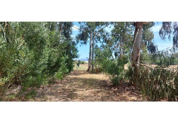 Helårsgrund i Rogil, Faro, Rogil - € 80.000 | Ref: W6221 - foto 1