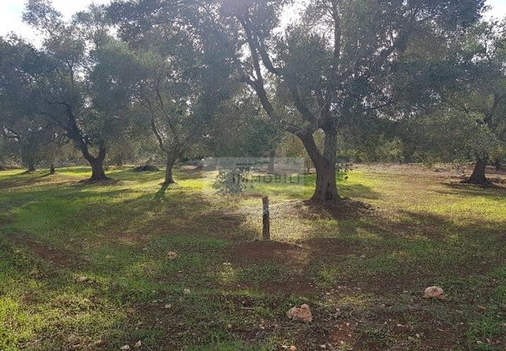 Tomt i Carovigno, Brindisi, Carovigno - € 87 000 | Ref: ter11  LAND - foto 1
