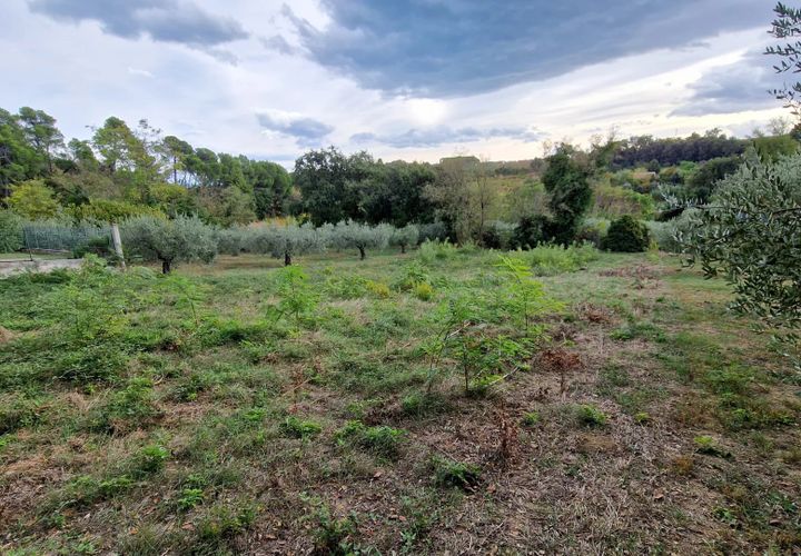 Terra a Pescara, Pescara, Pescara - € 14.000 | Ref: 83321508 - foto 1