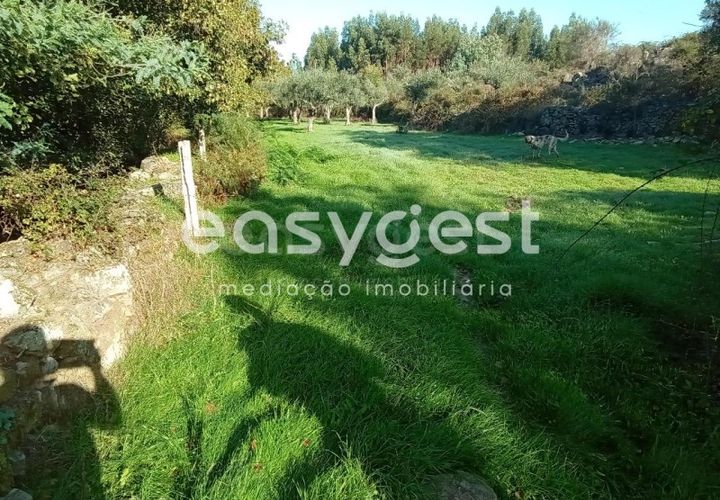 Helårsgrund i Castelo Branco, Castelo Branco, Castelo Branco - € 135.000 | Ref: CB93891MA - foto 1
