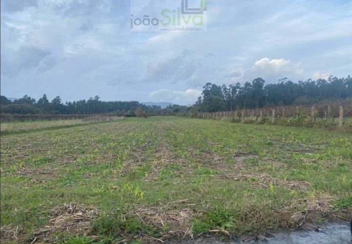 Helårsgrund i Ponte de Lima, Viana do Castelo, Ponte de Lima - € 21.000 | Ref: SÒL_1797 - foto 1
