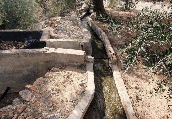 Terra a Pinar, Granada, Pinar - € 63.000 | Ref: L649 - foto 1