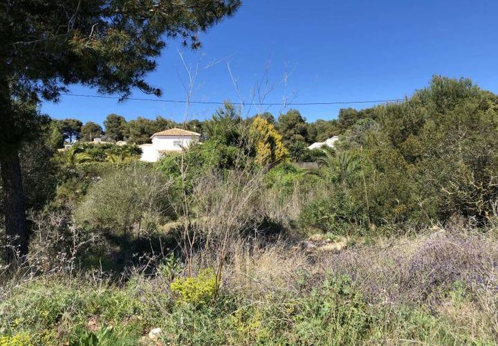 Helårsgrund i Javea, Alicante, Javea - € 445.000 | Ref: 10-70084 - foto 1