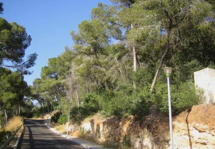 Terra a Calvia, Mallorca, Calvia - € 400.000 | Ref: 21067 - foto 1
