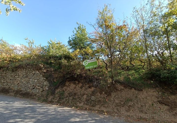 Landejendom i Tarouca, Viseu, Tarouca - € 55.000 | Ref: LMG_3759 - N - foto 1