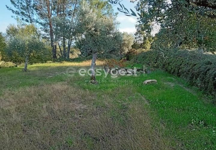 Helårsgrund i Castelo Branco, Castelo Branco, Castelo Branco - € 20.000 | Ref: CB93949MA - foto 1