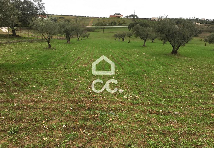 Terra a Amareleja, Beja, Amareleja - € 25.000 | Ref: 333/T/01306 - foto 1