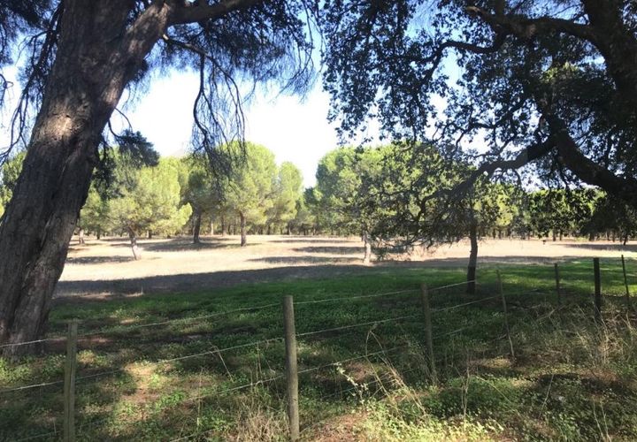Landejendom i Ermidas do Sado, Setubal, Ermidas do Sado - € 1.950.000 | Ref: EXP_258 - foto 1
