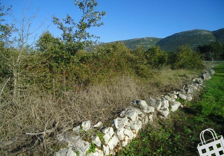 Helårsgrund i Alcobaca, Leiria, Alcobaca - € 70.000 | Ref: 364/T/00048 - foto 1