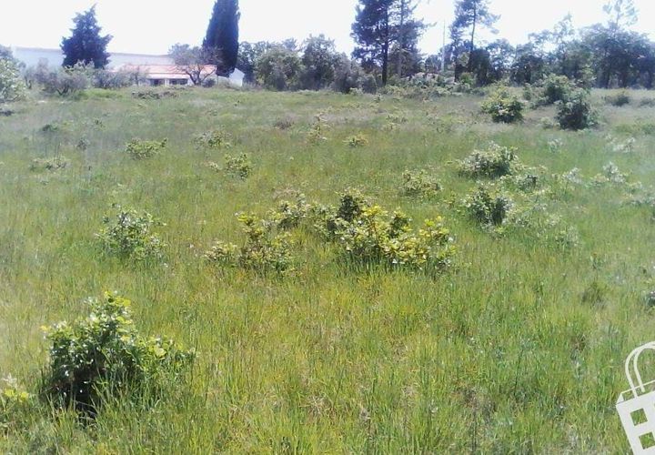 Helårsgrund i Alcobaca, Leiria, Alcobaca - € 55.000 | Ref: 364/T/00052 - foto 1