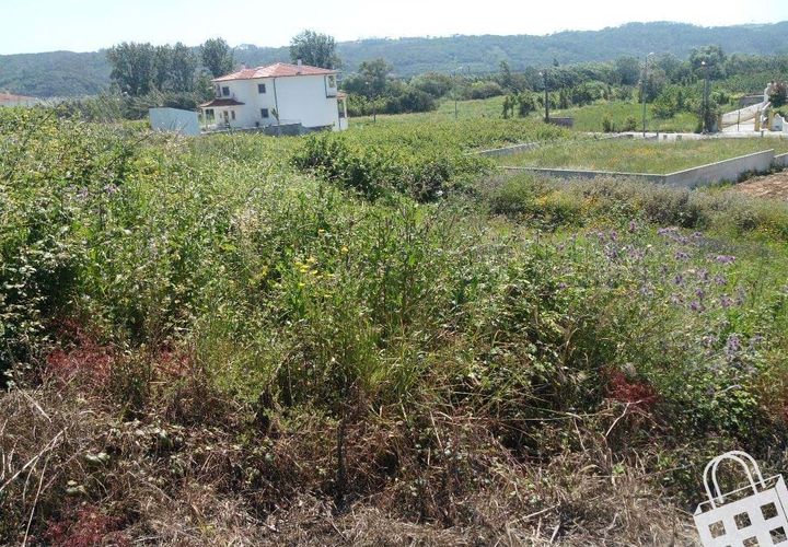 Helårsgrund i Alcobaca, Leiria, Alcobaca - € 52.000 | Ref: 364/T/00167 - foto 1