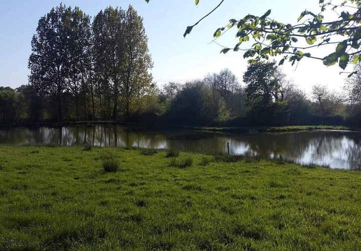 Terra a Ruffigné, Loire-Atlantique, Ruffigné - € 23.000 | Ref: 5911MM - foto 1
