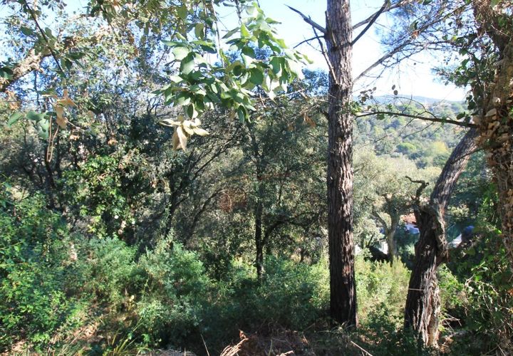 Helårsgrund i Calonge, Gerona, Calonge - € 95.000 | Ref: 1536 RDO - foto 1
