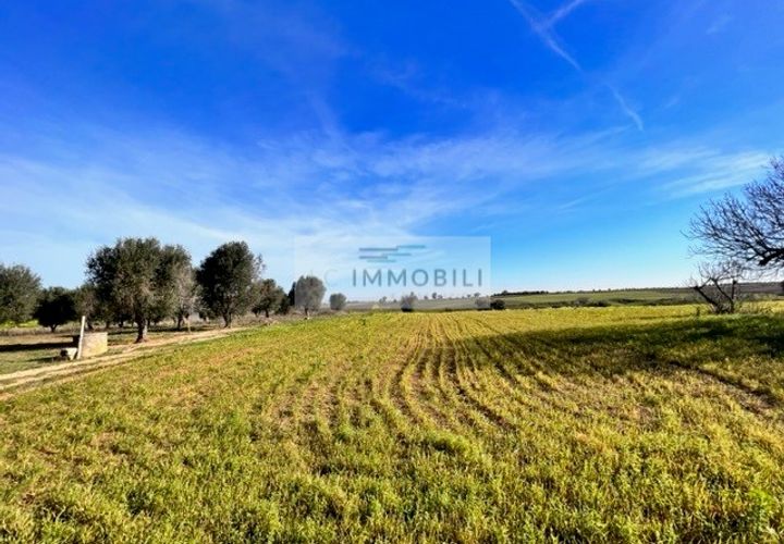 Terra a Carovigno, Brindisi, Carovigno - € 100.000 | Ref: CA1 Casolare - foto 1