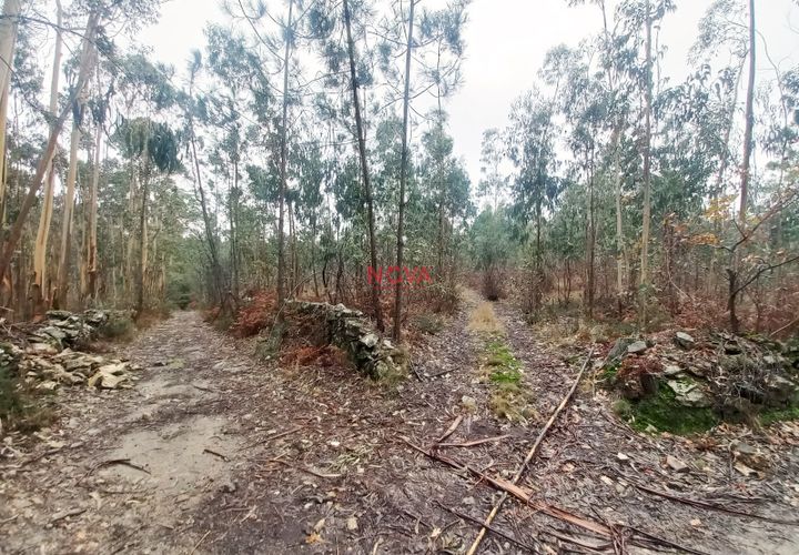 Helårsgrund i Vila do Conde, Porto, Vila do Conde - € 106.500 | Ref: NOVA-4540 - foto 1