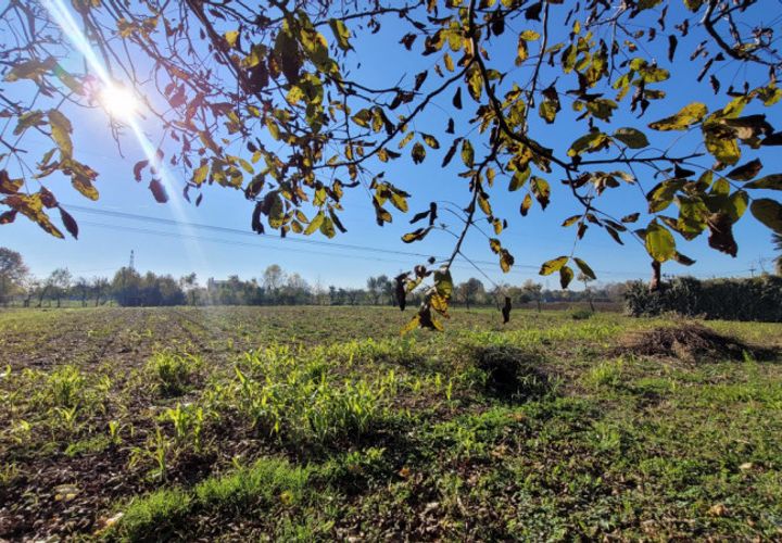 Helårsgrund i Padua, Padua, Padua - € 60.000 | Ref: P2 - foto 1