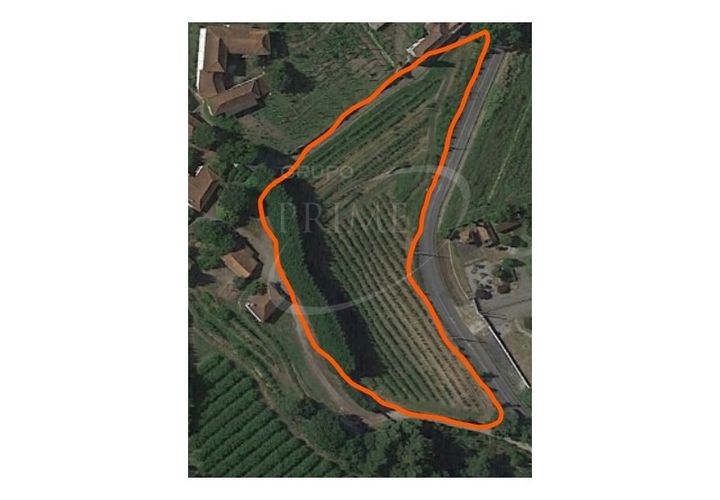 Terra a Sobreira, Porto, Sobreira - € 350.000 | Ref: 35823 - foto 1