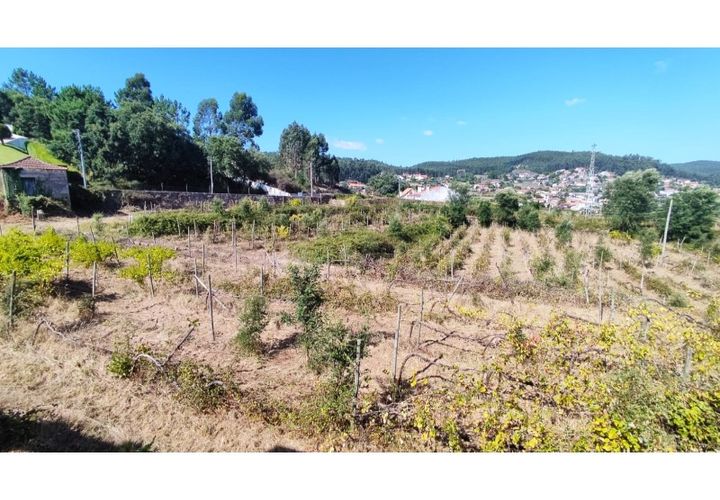 Farm i Curvos, Braga, Curvos - € 685.000 | Ref: 2932 - foto 1