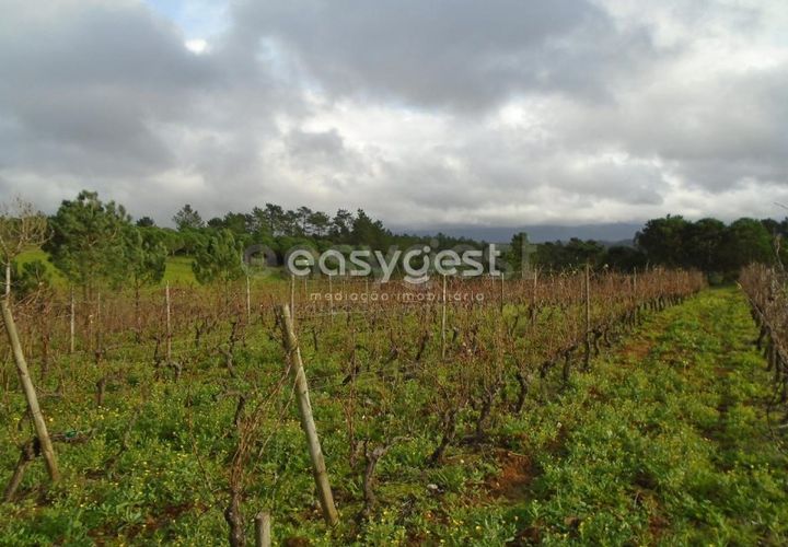 Helårsgrund i Alcobaca, Leiria, Alcobaca - € 25.000 | Ref: LE94149NZ - foto 1