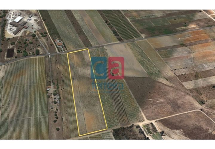 Helårsgrund i Alpiarca, Santarem, Alpiarca - € 60.000 | Ref: TERR4146 - foto 1