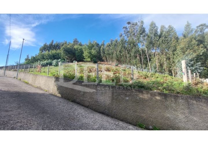 Terra a Camacha, Madeira, Camacha - € 160.000 | Ref: DEED/793 - foto 1