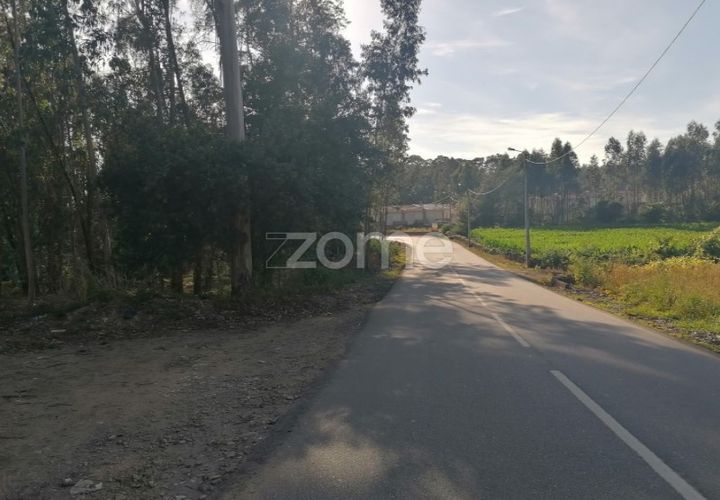 Helårsgrund i Braga, Braga, Braga - € 250.000 | Ref: ZMPT545975 - foto 1