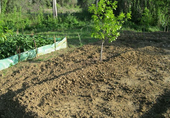 Helårsgrund i Tomar, Santarem, Tomar - € 15.000 | Ref: 1934 - foto 1