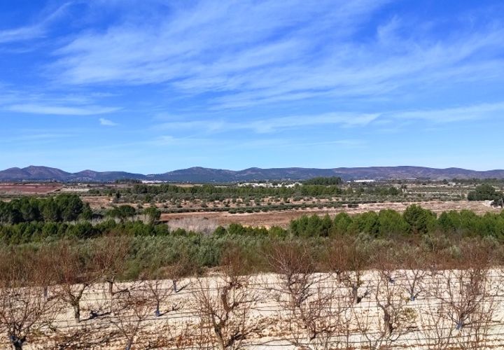 Helårsgrund i Bufali, Valencia, Bufali - € 49.000 | Ref: 8187 - foto 1