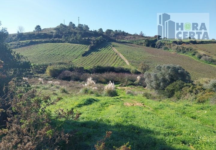 Farm i Torres Vedras, Lisbon, Torres Vedras - € 385.000 | Ref: 1773/TRV/JB - foto 1