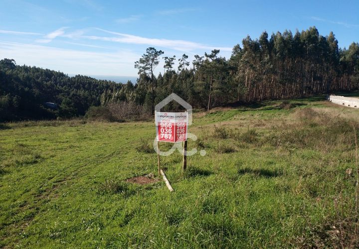 Terra a Penacova, Coimbra, Penacova - € 75.000 | Ref: 385/T/00633 - foto 1