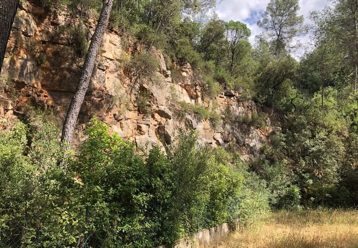 Działka: Carcès, Var, Carcès – 22 000 € | Ref: 3650 – zdjęcie 1