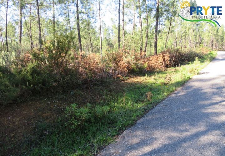 Helårsgrund i Serta, Castelo Branco, Serta - € 12.000 | Ref: VF283 - foto 1