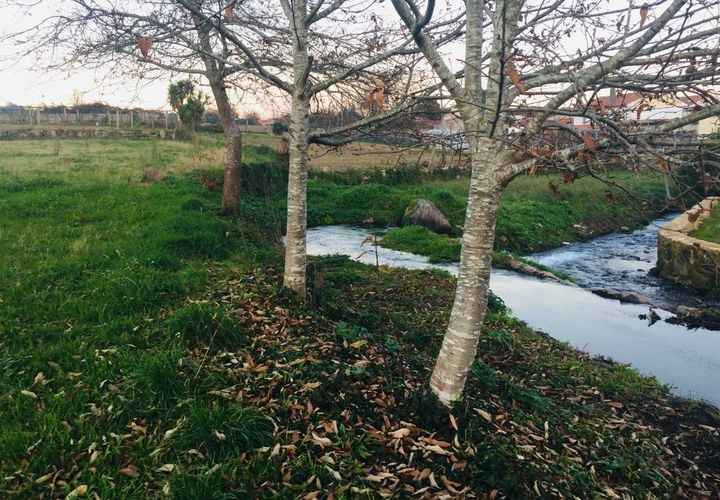 Helårsgrund i Barcelos, Braga, Barcelos - € 52.000 | Ref: 257 - foto 1