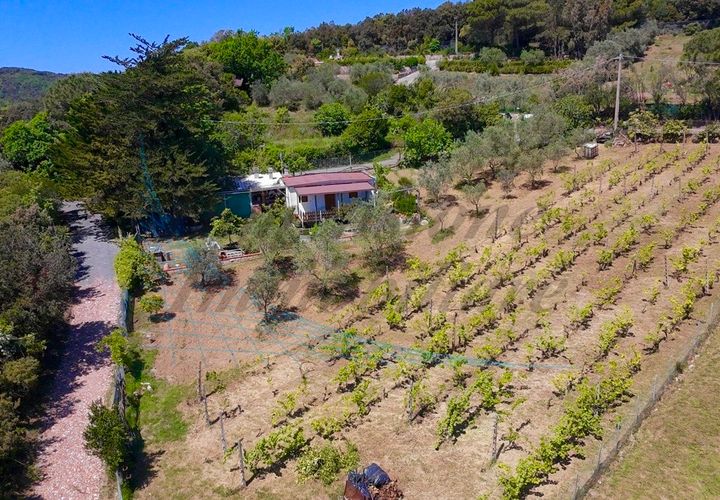 Villa a Rosignano Marittimo, Livorno, Rosignano Marittimo - € 86.000 | Ref: C856 - foto 1