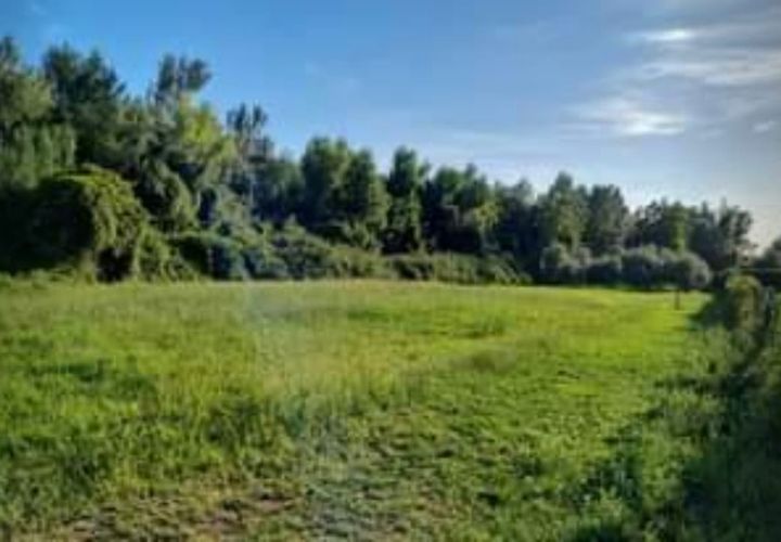 Erhvervsejendom i Seravezza, Lucca, Seravezza - € 57.000 | Ref: 2042 - foto 1