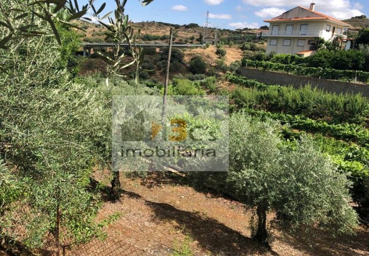 Farm i Torre de Moncorvo, Braganca, Torre de Moncorvo - € 110.000 | Ref: QUI_1410 - foto 1