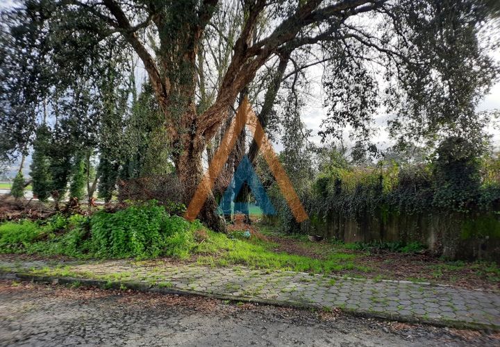 Helårsgrund i Vila de Cucujaes, Aveiro, Vila de Cucujaes - € 150.000 | Ref: TER_1527 - foto 1