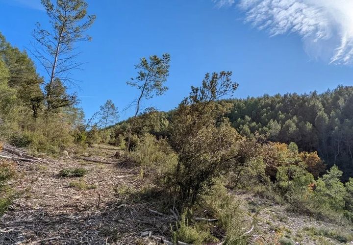 Terra a Carcès, Var, Carcès - € 6.900 | Ref: 3367 - foto 1