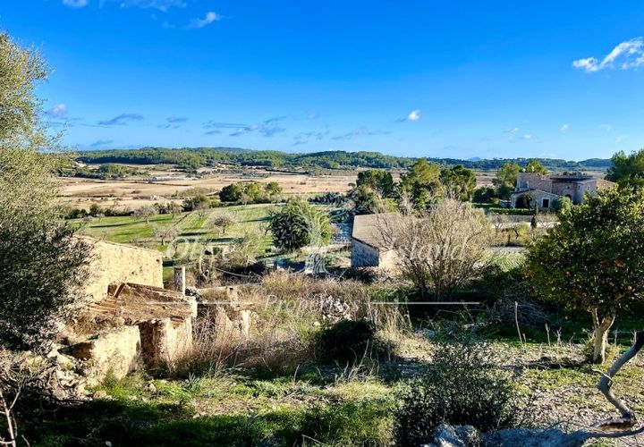 Landejendom i Sineu, Mallorca, Sineu - € 950.000 | Ref: LLV448 - foto 1